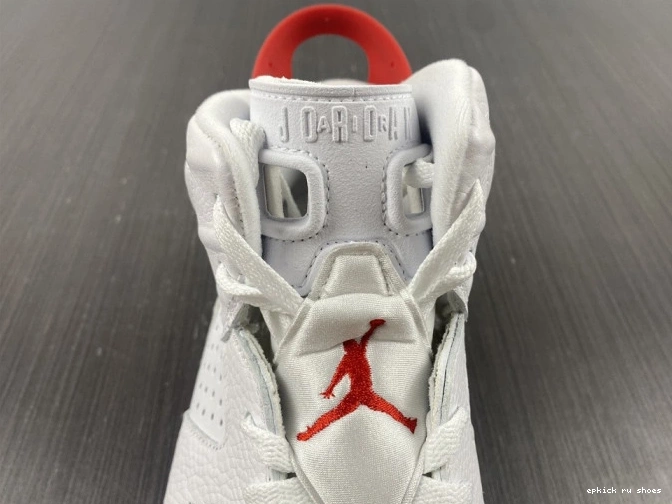 Rep 6 Retro CT8529-162 Jordan Hare 0723